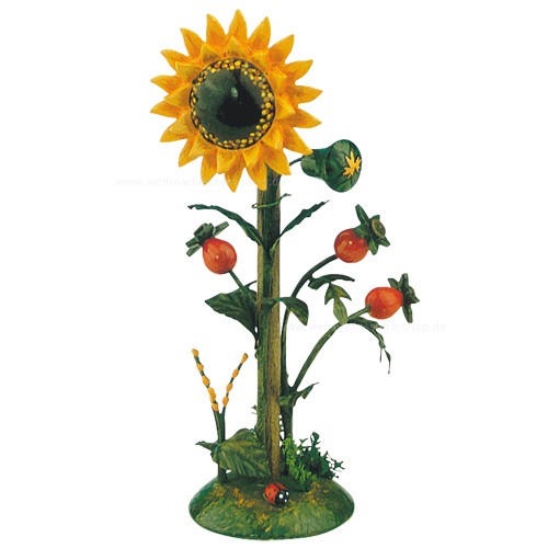 Hubrig - Blumeninsel Sonnenblume Mini